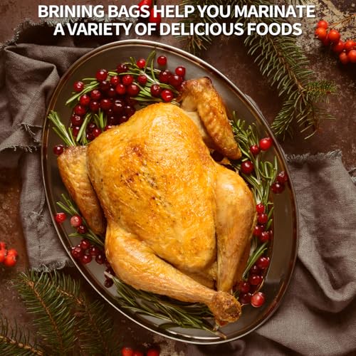 QPMR Turkey Brining Bags Set of 2 - Extra Large Holds up to 40lb，Thicker Brine Bags with Double Zip Lock & 2 Cotton Strings to Avoid Leaks for Thanksgiving Turkey, Chicken, Beef, Pork（26"×22"） - size: 2PCS--26*22INCH