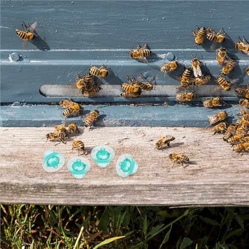 300Pcs Beekeeping Rearing Cups High Quality Bee Breeding Cups for Garden Beekeepers Essential Beekeeping Tools Set