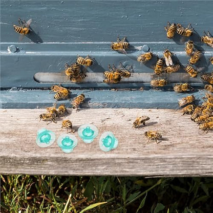 300Pcs Beekeeping Rearing Cups High Quality Bee Breeding Cups for Garden Beekeepers Essential Beekeeping Tools Set