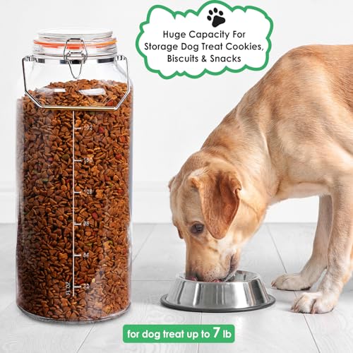 Qianfenie 2 Gallon Glass Jar with Airtight Lid(7600ML), Gallon Airtight Glass Storage Jar with Stainless Steel Handle - Large Glass Food Storage Container with Lid Flour, Sugar, and Dog Treats