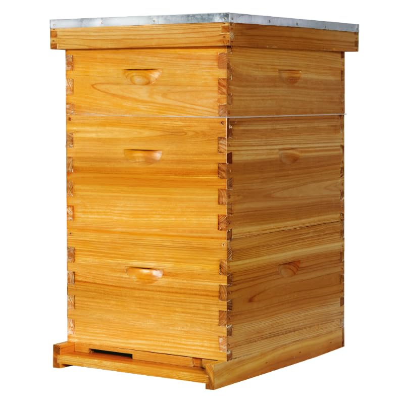POLLIBEE 10 Frame Beehive, Beeswax Coated Bee Hives for Bee Keeper,Beehive Include 2 Deep Bee Boxes and 1 Medium Bee Hive Box with Frame and Foundation(Unassembled) - size: 3-Layer