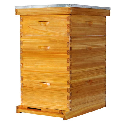 POLLIBEE 10 Frame Beehive, Beeswax Coated Bee Hives for Bee Keeper,Beehive Include 2 Deep Bee Boxes and 1 Medium Bee Hive Box with Frame and Foundation(Unassembled) - size: 3-Layer