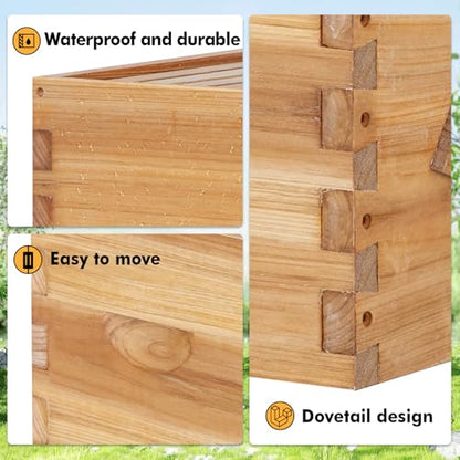 8 Frame Bee Hive Starter Kit with Windows, Beeswax Coated Langstroth Bee Hives Boxes for Beekeepers with Beehive Frames and Waxed Foundations (1 Deep Brood Bee Box & 1 Medium Super Box) - size: 8 Frames 2 Layers