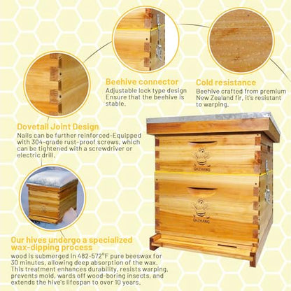 Beehive/Langstroth 10 Frame bee Box/bee Hives Boxes Starter kit with 100% Beeswax Includes Beehive Frames and Beeswax Coated Foundation Boards(1 Deep Boxes & 1 Medium Boxes)