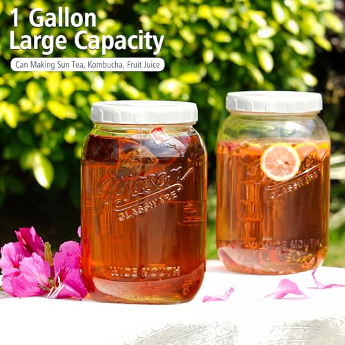 Folinstall 1 Gallon Glass Jar with Lid, Wide Mouth Mason Jars, Large Glass Flour Storage Containers with Airtight Lids, Candy Jar Safe for Cookie, Kombucha, Pickle, Sugar