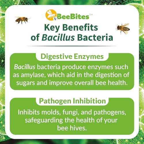 BeeBites: SuperFood for Healthy Hives - Honey Bee Fondant with Spirulina and Chlorella - Probiotics Powered by Algae - Best Food for Queen Immunity - 10 Bars (50g Each) - size: 1 Count (Pack of 10)