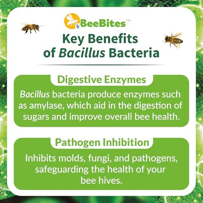 BeeBites: SuperFood for Healthy Hives - Honey Bee Fondant with Spirulina and Chlorella - Probiotics Powered by Algae - Best Food for Queen Immunity - 10 Bars (50g Each) - size: 1 Count (Pack of 10)