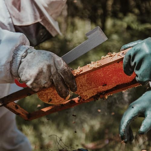 JOIKIT 8 Pack 10.6 Inch J Hook Hive Tool, Stainless Steel Beehive Scraper Tools, Bee Frame Lifter and Scraper Beekeeping Equipment for Beekeepers