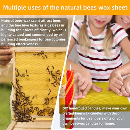 Lacaser Beeswax Sheets for Candle Making Kit, 20 Pcs 8"x16" Pure Bees Wax Made Sheets Equals to 40pcs 8"x8" Beeswax Sheets, Include Bee Ornaments,Cotton Candle Wicks for Bulk Candle Making - color: Natural (8x16)
