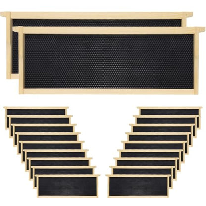 20 Pack Black Bee Hive Medium Frames Unassembled, Wooden Bee Frames with Plastic Beeswax Coated Foundations for Medium Super Box - color: Black, size: 20PCS