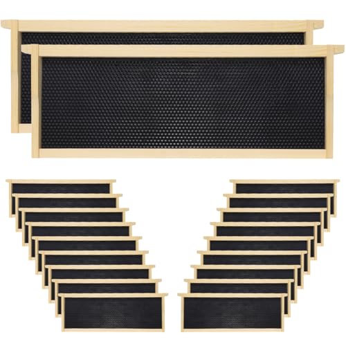20 Pack Black Bee Hive Medium Frames Unassembled, Wooden Bee Frames with Plastic Beeswax Coated Foundations for Medium Super Box - color: Black, size: 20PCS