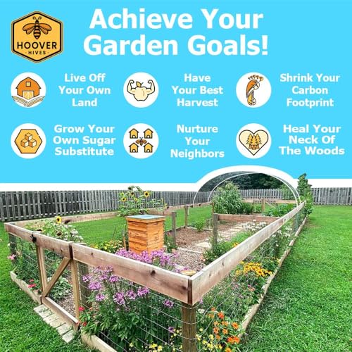 Hoover Hives 8 Frame Langstroth Beehive Dipped in 100% Beeswax Includes Wooden Frames & Waxed Foundations (1 Deep Box, 1 Medium Box)