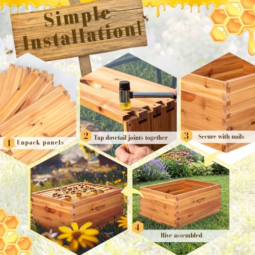 Marsui 6 Pcs Bee Hive 10 Frame Deep Bee Hive Box, Langstroth Beehive Boxes Natural Beeswax with Window, Beehive Frames and Beeswaxed Foundations