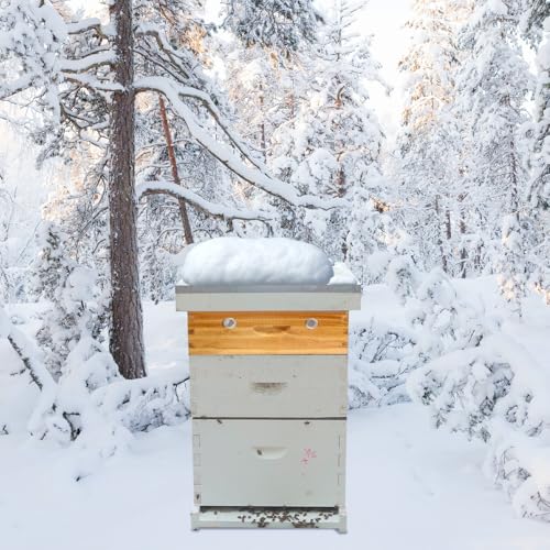 Bee Hive Winter Quilt Box Beeswaxed Coated for 8 Frame Langstroth Bee Hive, Assembled Quilt Box for Bees Winter Beekeeping Supplies