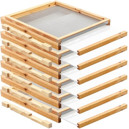 DoubleFill 6 Pcs 10 Frame Beehive Screened Bottoms Board Dipped in Beeswax with Entrance Reducer Beeswax Wood Screeneds Bottom Boards for Beekeeping Supplies (Plastic Screened Bottom Board)