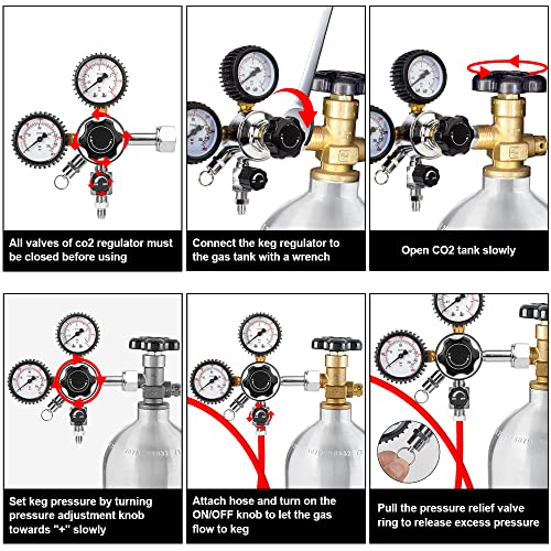 Gancowise CGA-320 Keg Regulator, Dual Gauge CO2 Pressure Regulator with 2 Swivel Nut 1/4’’ & 5/16’’ Barb, 0-60 PSI Working Pressure & 0-3000 PSI Tank Pressure