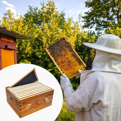 10-Frame Deep Brood Box, Langstroth Cedar Beehive with Observation Window, Beeswax-Coated Frames & Foundations for Beekeeping, Dovetail Joint Assembly