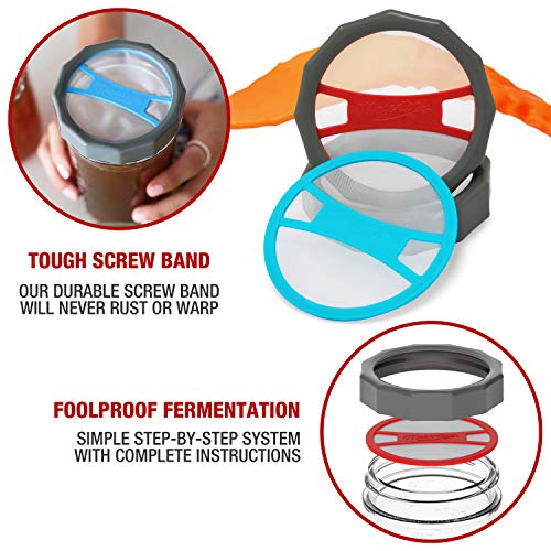 Masontops Complete Kombucha Starter Kit - Includes Organic Scoby, Thermometer, Activating Sugar & Kombucha Brewing Lid - size: Kombucha Starter Kit