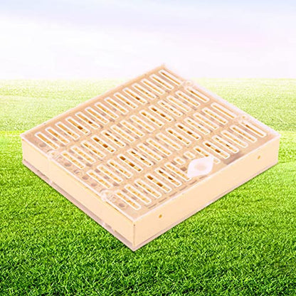 Queen Rearing Box, Queen Bee Rearing Box Cage Plastic Cell Bar Blocks Caps Hair Roller, Beekeeping Queen Bee Rearing Grafting Kit for Bee Keeper
