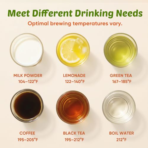 Seehot® Electric Kettle With Thermometer, 1.7L Electric Tea Kettle, 1200W Hot Water Kettle Electric, Auto Shutoff, Boil-Dry Protection, 304 Stainless Steel, Cordless Base,Green - color: Green