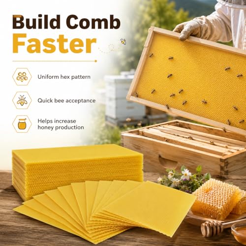 Bee Hive Foundation Sheets - 30 Pcs Pure Beeswax Comb Foundation 7.68 x 16.34 Inch, Beekeeping Supplies for Langstroth Hive Frames, Increases Honey Production & Colony Development