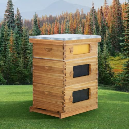 10 Frame Bee Hive Starter Kit with Windows, Beeswax Coated Langstroth Bee Hives Boxes for Beekeepers with Beehive Frames and Waxed Foundations (2 Deep Brood Bee Box & 1 Medium Super Box) - size: 10 Frames 3 Layers