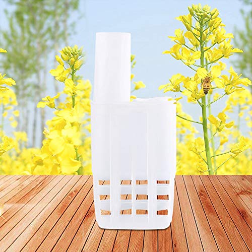 Walfront Queen Bee Cages 10Pcs Plastic Isolator Rearing Catcher Holder Beekeeping Tool