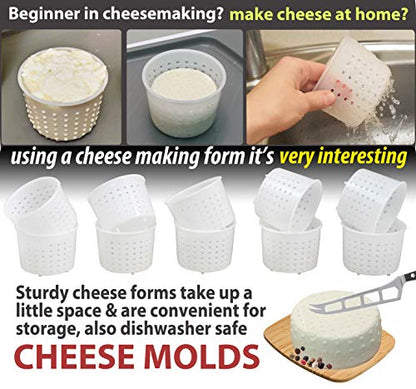 PetriStor 10pcs Small Cheese Mold for Cheese Making 1/3 qt - Soft Cheese Molds - Homemade Cheese Making Supplies - Cream Cheese Form Mold - Moldes Para Queso Fresco Casero - Feta Cheese Making