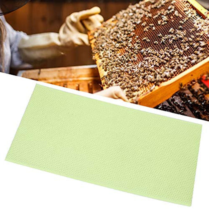 10Pcs Green Plastic Beeswax Beehive Foundation Sheets, Honeycomb Texture Beekeeping Supplies for Hive Frames, Pure Natural Wax Base with Durable Plastic Core for Efficient Honey Pr
