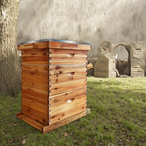 10 Frame Langstroth Bee Hive Complete Kit, Beeswax Dipped Cedar Wood Beehive, Includes 2 Deep Brood Boxes & 1 Medium Super Box, Frames and Waxed Foundations for Beekeepers