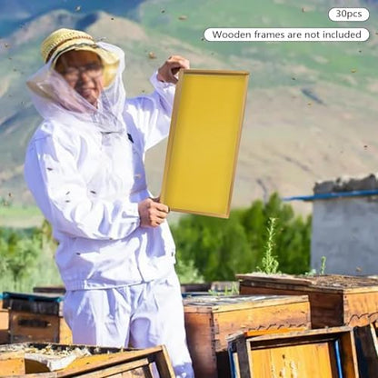 30 Pack Beeswax Hive Foundations 19.5x41.5cm, Natural Beekeeping Foundation Sheets with Deep Cells, High Purity Beeswax for Langstroth Hive Frames, Bee Supplies for Honey Production DIY Candle Making