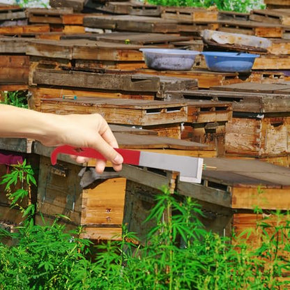 minkissy Curved Hook Hive Tool Beekeeping Stainless Steel 2.5mm Thick Beehive Scraper and Frame Lifter Wine Red for Hive Maintenance and Bee Keeping Supplies