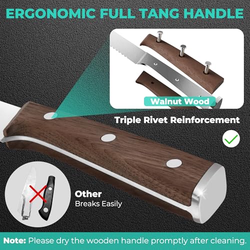 HAUSHOF Bread Knife with Sheath, 8-Inch Serrated Bread Knife for Homemade Bread, 5Cr15Mov Premium Stainless Steel Bread Cutter with Gift Box for Mom Dad, Full Tang and Ergonomic Handle - size: 8"
