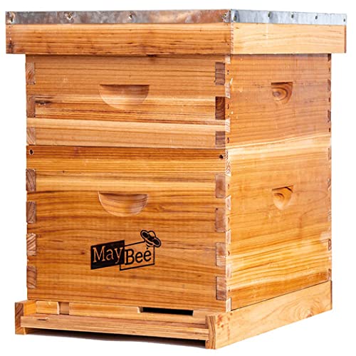 Beehive 10 Frame Bee Hives and Supplies Starter Kit, Bee Hive for Beginner, Honey Bee Hives Includes 1 Deep Brood Hive Box, 1 Bee Hive Super Box with Beehive Frames and Foundations