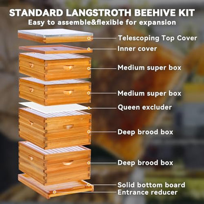 10-Frame Langstroth Bee Hive,4 Layers Beeswax Coated Beehive Kit Includes 2 Deep Brood Hive Boxes and 2 Medium Super Bee Box with Beehive Frames and Foundations for Beekeeper - size: 4 Layers