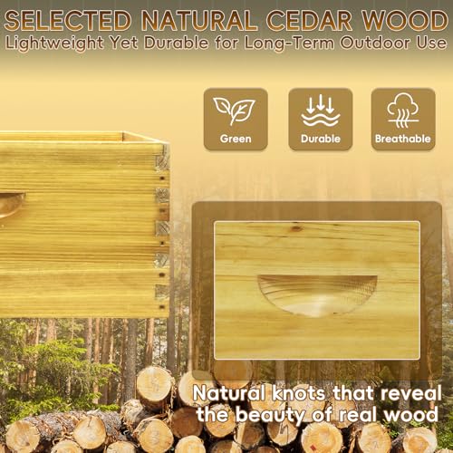 10-Frame Langstroth Bee Hive Deep and Medium Box Kit, Beeswax Coated Bee Boxes Not Include Frames and Foundations (Unassembled)