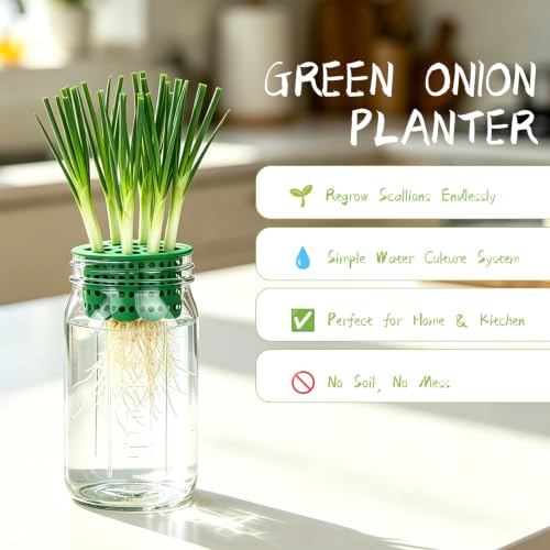Seed Sprouting Kit - 2×32 Oz Wide-Mouth Mason Jars with Sprouter Lids, Stand, Sprout Tray & Light Shield, for Broccoli, Alfalfa, Mung Beans & Microgreens (Yellow + Green + Green Onion Regrower) - color: Yellow + Green + Green Onion Regrower