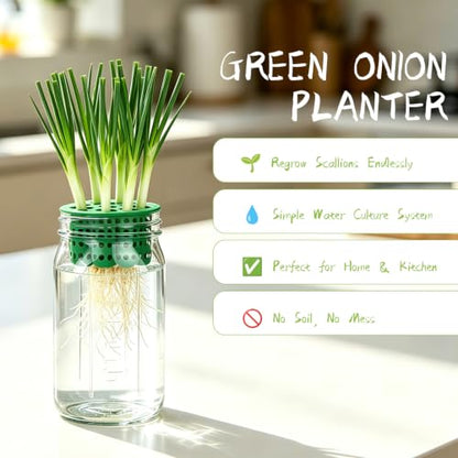 Seed Sprouting Kit - 2×32 Oz Wide-Mouth Mason Jars with Sprouter Lids, Stand, Sprout Tray & Light Shield, for Broccoli, Alfalfa, Mung Beans & Microgreens (Yellow + Green + Green Onion Regrower) - color: Yellow + Green + Green Onion Regrower