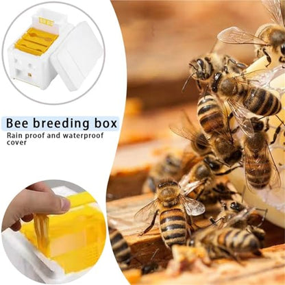 Nuc Box for Bees Queen Bee Breeding Box Bee Rearing Mating Box Foam Beehive Pollination Box Beekeeping Tools Breeding Case Beekeeping Equipment
