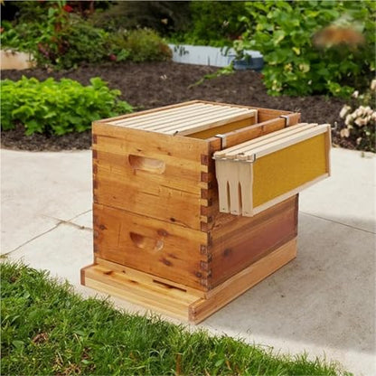 2pcs Honey Keeper Beehive Frame Holder Stainless Steel Hive Hanger Perch