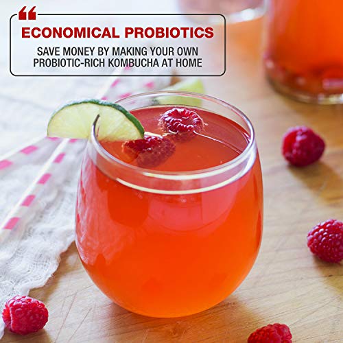 Masontops Complete Kombucha Starter Kit - Includes Organic Scoby, Thermometer, Activating Sugar & Kombucha Brewing Lid - size: Kombucha Starter Kit