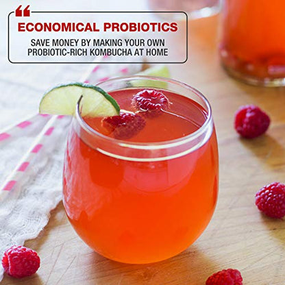 Masontops Complete Kombucha Starter Kit - Includes Organic Scoby, Thermometer, Activating Sugar & Kombucha Brewing Lid - size: Kombucha Starter Kit