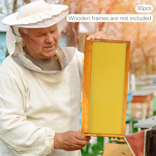 Natural Beeswax Honeycomb Foundation Sheets,30 Pcs Bee Hive Foundations，Wax Foundation for Bee Frames Honey，for Beekeeping and DIY Candle Making