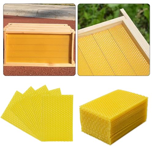 Flylin 20Pcs Beehive Wax Foundation Sheets, Natural Beehive Wax Foundation | Honeycomb Pattern, Smooth Texture, Beeswax Sheets, for DIY Candle Making, Furniture Floor Polishing