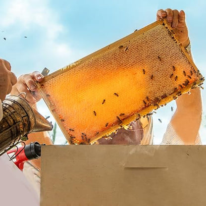 POLLIBEE 10 Pack Beehive Frames with Wax Dipped Plastic Foundations, Deep Brood Box Bee Frames 9-1/8 Inch for Beekeeping (Yellow) - size: Deep Yellow