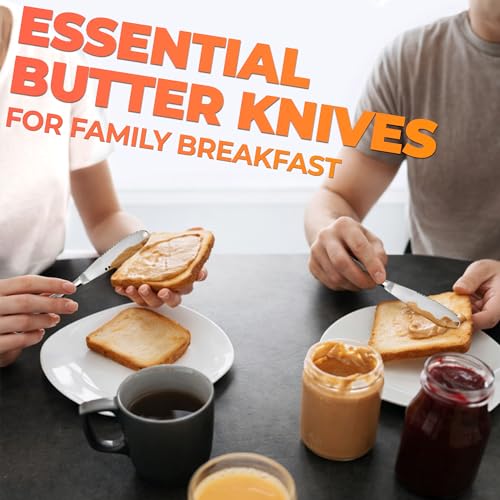 DIMROM 3 in 1 Butter Knife for Hard Butter Set of 2 with Micro-Grater Blade | 2 Pcs Cold Butter Knife Spreader with Holes in Blade, Stainless Steel Body, Dishwasher Safe, Spreads Soft Cheese and Jam