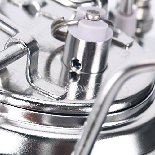 Stainless Steel 1.6 Gallon Mini Ball Lock Keg System For Small Batch HomeBrewing Beer Brewing Strap Handle (6L)