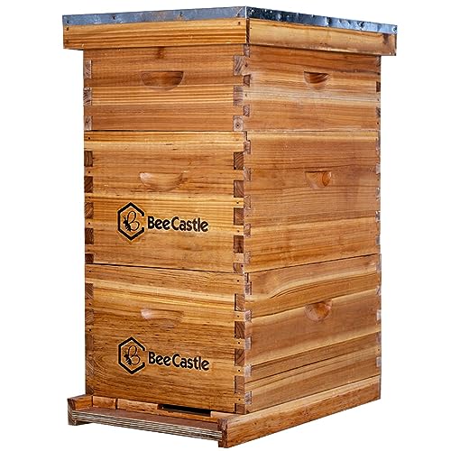 BeeCastle 8 Frame Langstroth Bee Hive Coated with Beeswax Includes Beehive Frames and Waxed Foundations (2 Deep Boxes & 1 Medium Box)