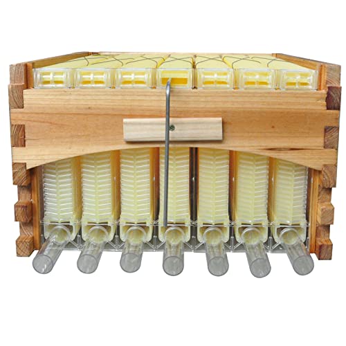 Golden Palace Auto Super Box, Honey Super, with 7pcs Auto Super Frames, Beehive Supplies