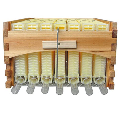 Auto Super Box for Beekeeping, 7-Frame Honey Super with Windows, Complete Bee Box Supplement with 7 Auto Super Frames, Key & Tubes